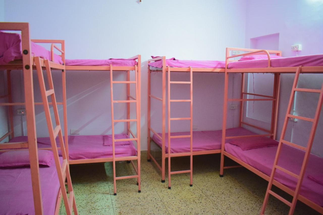 Backpackers Villa Divisione di Divisione di Jaipur Esterno foto